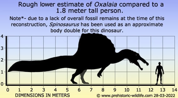 largest theropod dinosaur