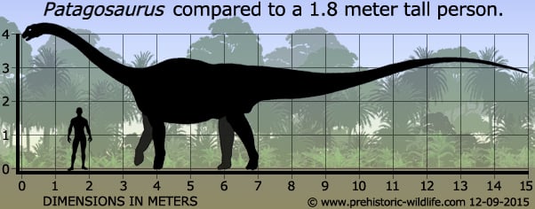 Patagosaurus