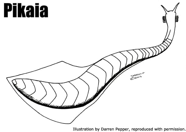 Pikaia