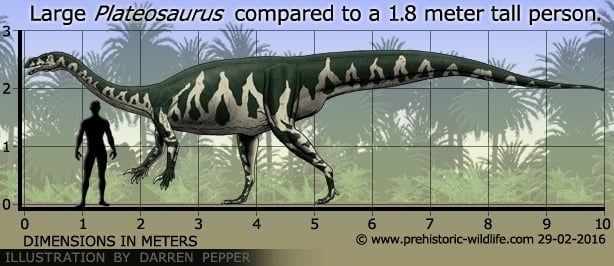 Dinosaur Names That Start With P