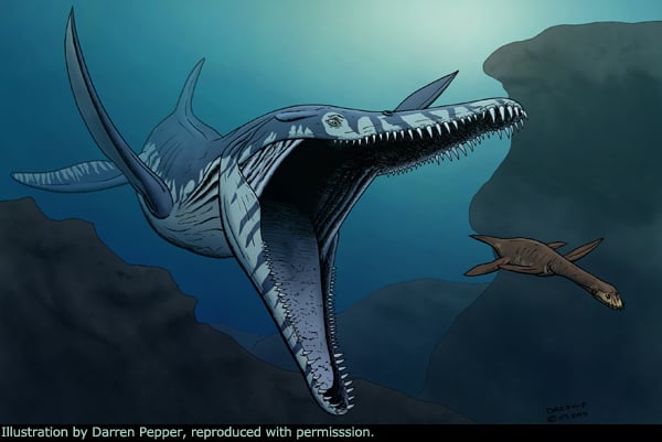 [Image: pliosaurus.jpg]