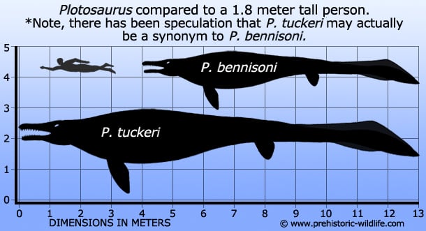 THE CUTEST FISH EVER vs DEADLY PROGNATHODON!