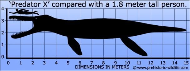 شکارچی ط خوفناکترین شکارچی دریاها .Pliosaurus funke.جندی شاپور البرز