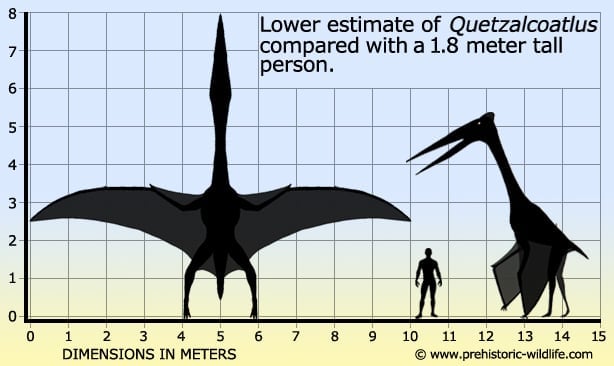 Top 10 Standout Pterosaurs