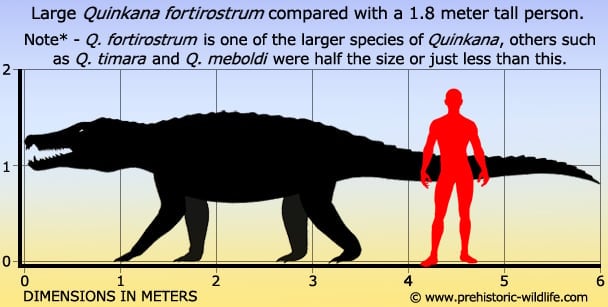 quinkana-size.jpg