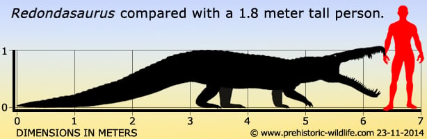 redondasaurus-size.jpg