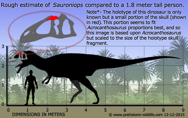 Resultado de imagen de sauroniops pachytholus