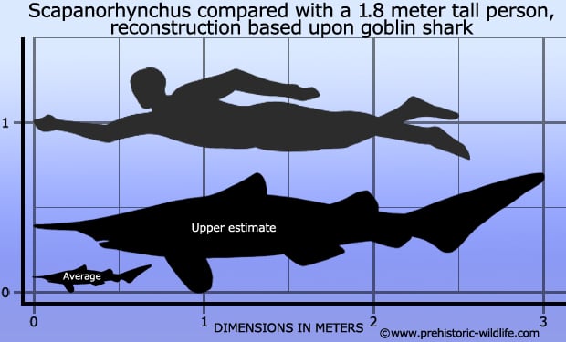 Prehistoric Shark