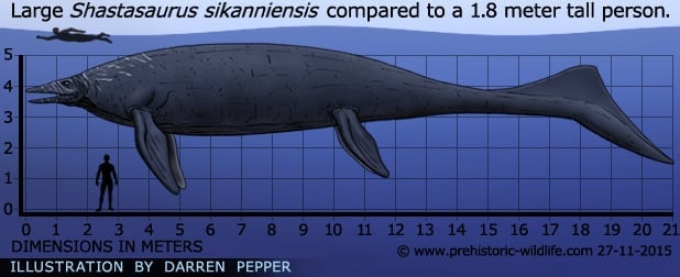 What is the largest reptile ever?