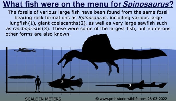 what-fish-did-spinosaurus-eat.jpg