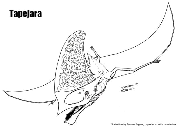 10 Interesting Pterodactyl Facts