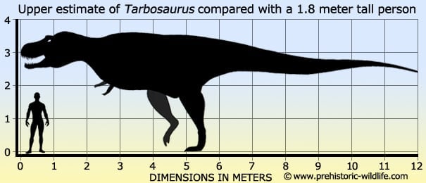 Alioramus Carnivorous Theropod Dinosaur Lived Asia Cretaceous