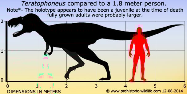 Teratophoneus