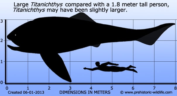 dunkleosteus size