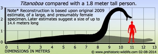 prehistoric python