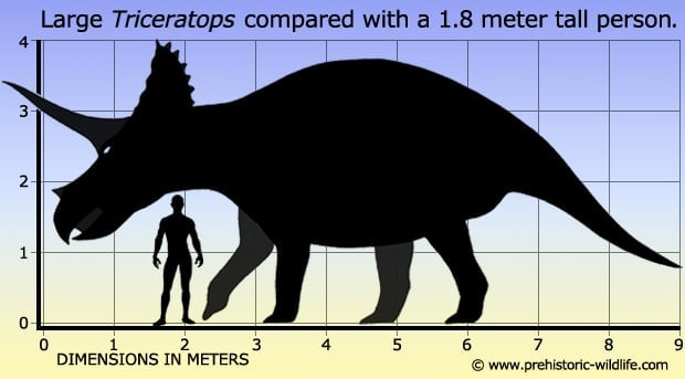 TRICERATOPS, Creatures