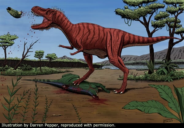 Dinosaurs: T. rex had more powerful jaws than its theropod ancestors