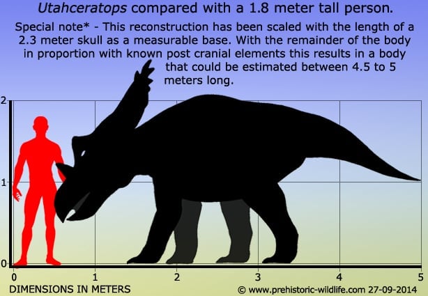 utahceratops-size.jpg