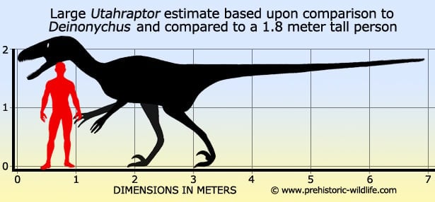 Velociraptor Size Chart