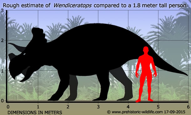 wendiceratops-size.jpg