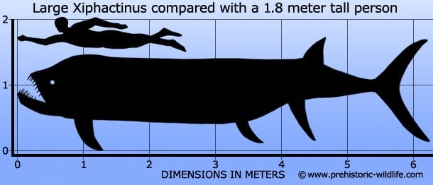 List of Extinct Fish With Pictures