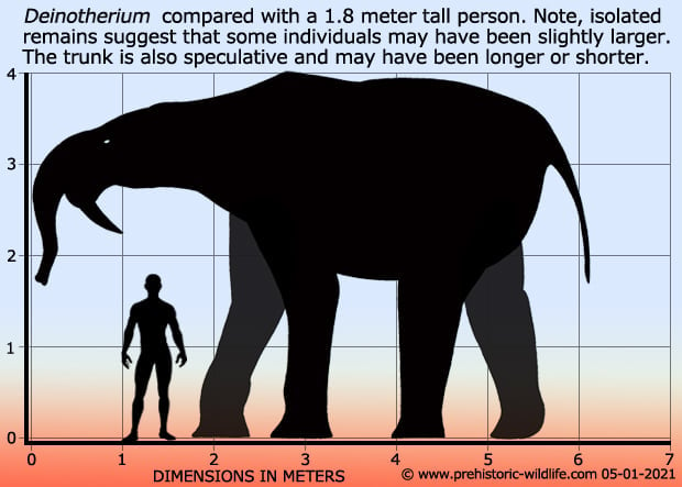 Currently still a work in progress: Deinotherium, a prehistoric relative of  the elephant, investigates something that appears eerily familiar in shape.