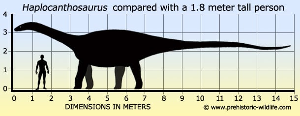 Long Neck Dinosaur Name