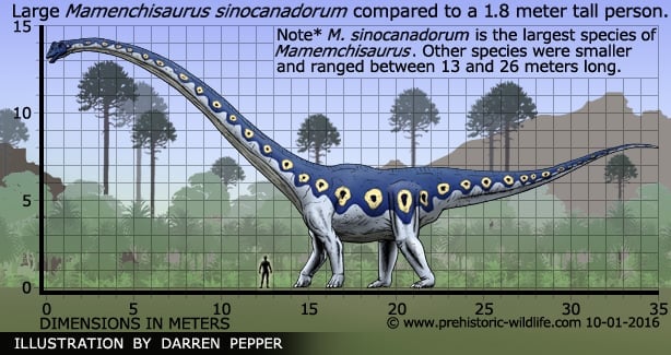Long Neck Dinosaur Name