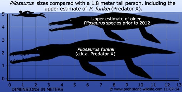 pliosaurus-size.jpg