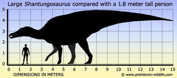 Shantungosaurus