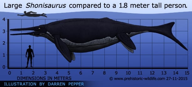 shonisaurus-size.jpg