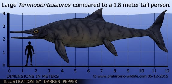 temnodontosaurus-size.jpg