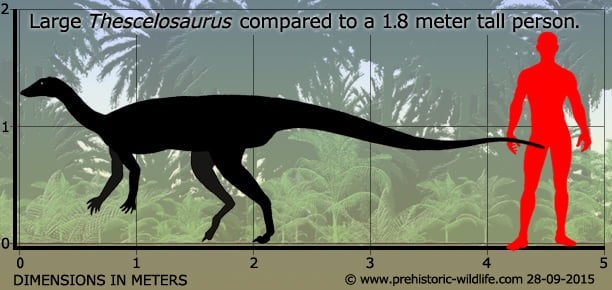 Thescelosaurus