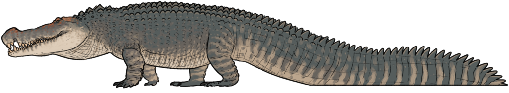 Life reconstruction of Deinosuchus hatcheri