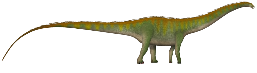 Diplodocus the dinosaur