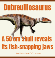 Dubreuillosaurus