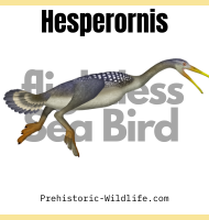 Hesperornis