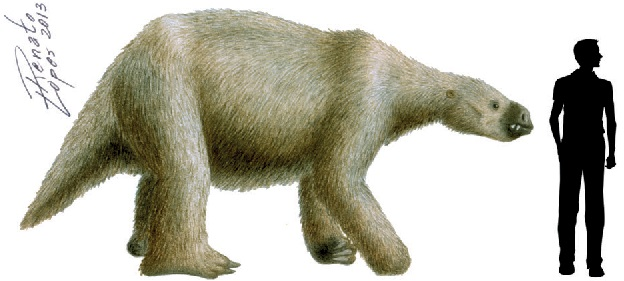 Lestodon armatus size compared to a human