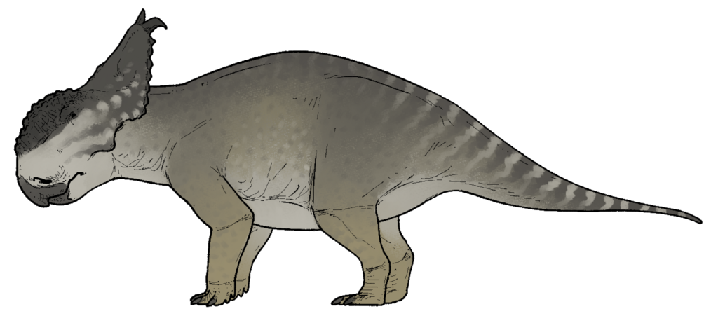 Life reconstruction of Pachyrhinosaurus canadensis