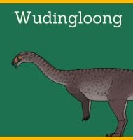 Wudingloong Illustration