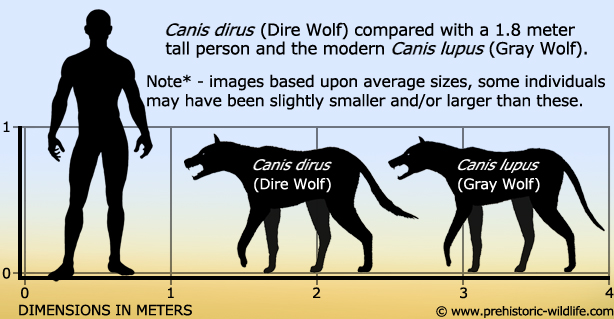 General Dire Wolf Size Chart Giants Of The Wild A Comprehensive