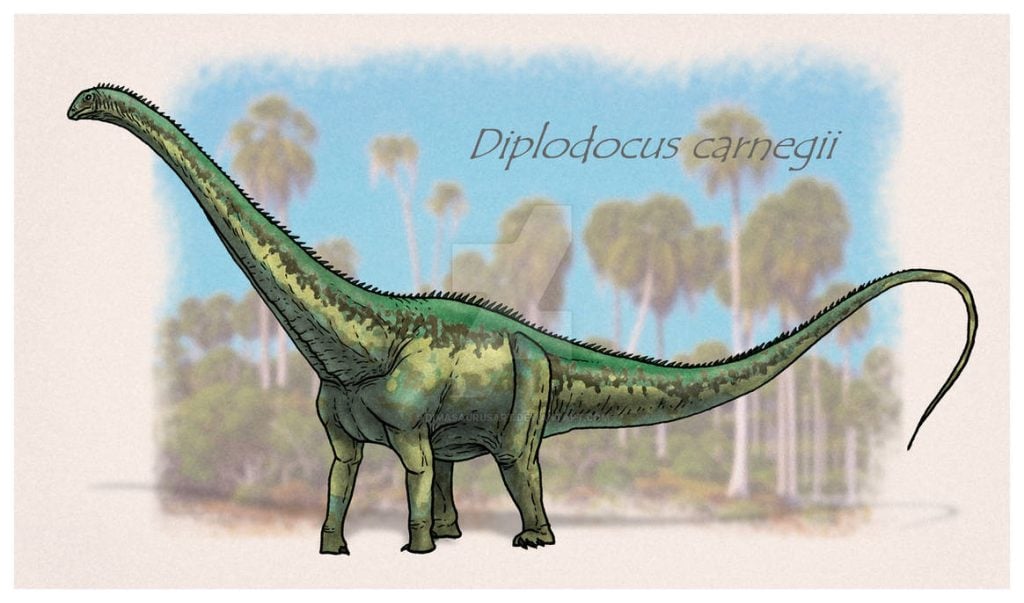 Diplodocus Dinosaur Paleo ART