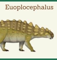 Euoplocephalus