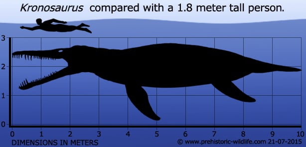 Top 12 Prehistoric Marine Reptiles Often Confused As Water Dinosaurs 