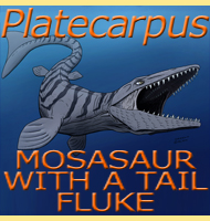 Pakisaurus Pakisaurus