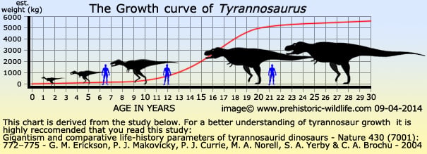 Tyrannosaurus Size Hunting Diet Facts Tyrannosaurus Size Hunting Diet Facts